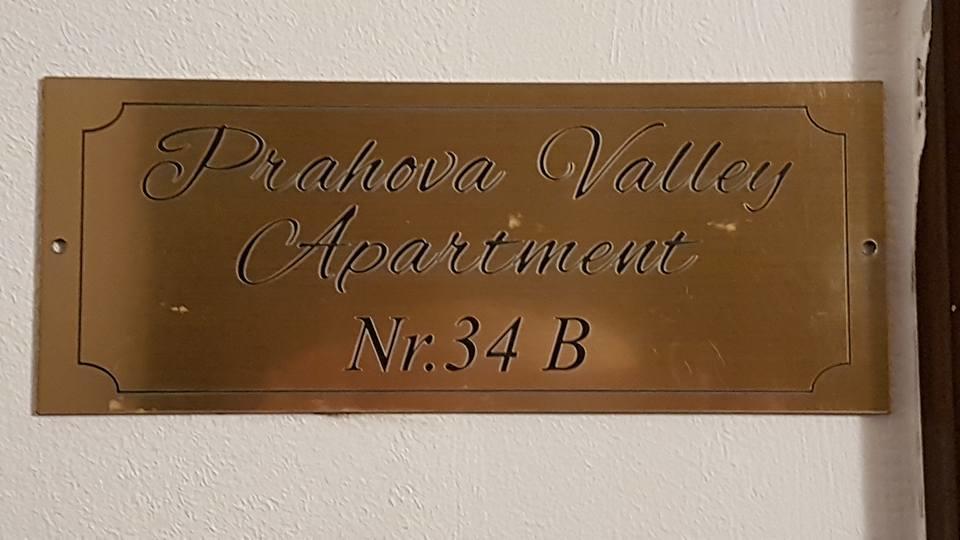 Prahova Valley Apartment