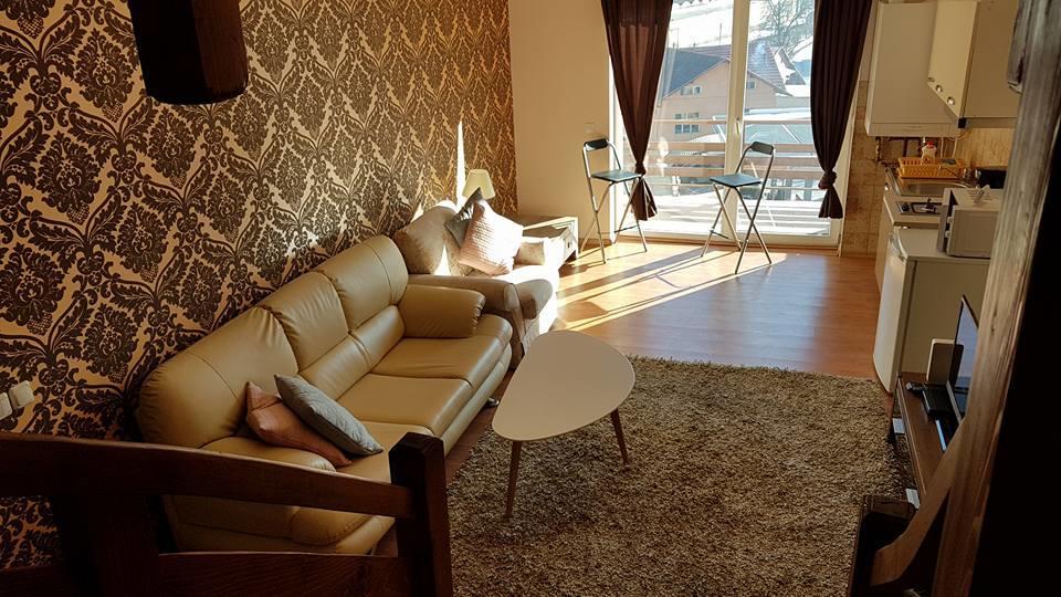 Apartment Prahova Valley Sinaia